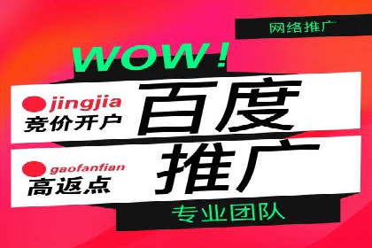 XX领域竞价广告的投放策略及效果展示